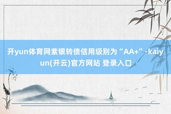 开yun体育网紫银转债信用级别为“AA+”-kaiyun(开云)官方网站 登录入口