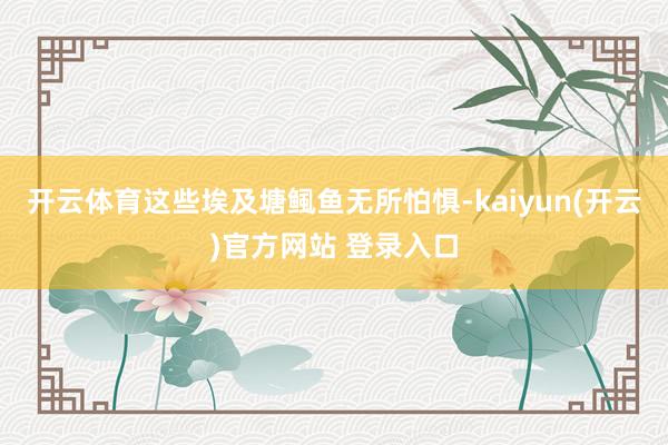 开云体育这些埃及塘鲺鱼无所怕惧-kaiyun(开云)官方网站 登录入口