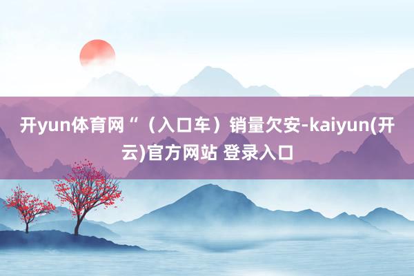 开yun体育网“（入口车）销量欠安-kaiyun(开云)官方网站 登录入口