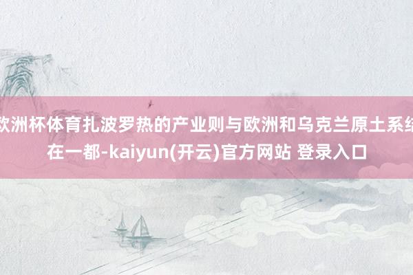 欧洲杯体育扎波罗热的产业则与欧洲和乌克兰原土系结在一都-kaiyun(开云)官方网站 登录入口