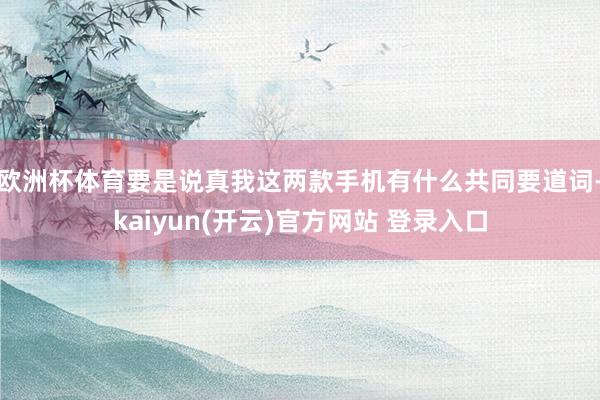 欧洲杯体育要是说真我这两款手机有什么共同要道词-kaiyun(开云)官方网站 登录入口