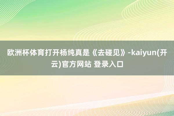 欧洲杯体育打开杨纯真是《去碰见》-kaiyun(开云)官方网站 登录入口