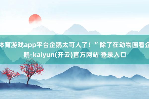 体育游戏app平台企鹅太可人了！”除了在动物园看企鹅-kaiyun(开云)官方网站 登录入口