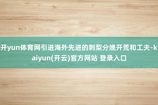 开yun体育网引进海外先进的刺梨分娩开荒和工夫-kaiyun(开云)官方网站 登录入口